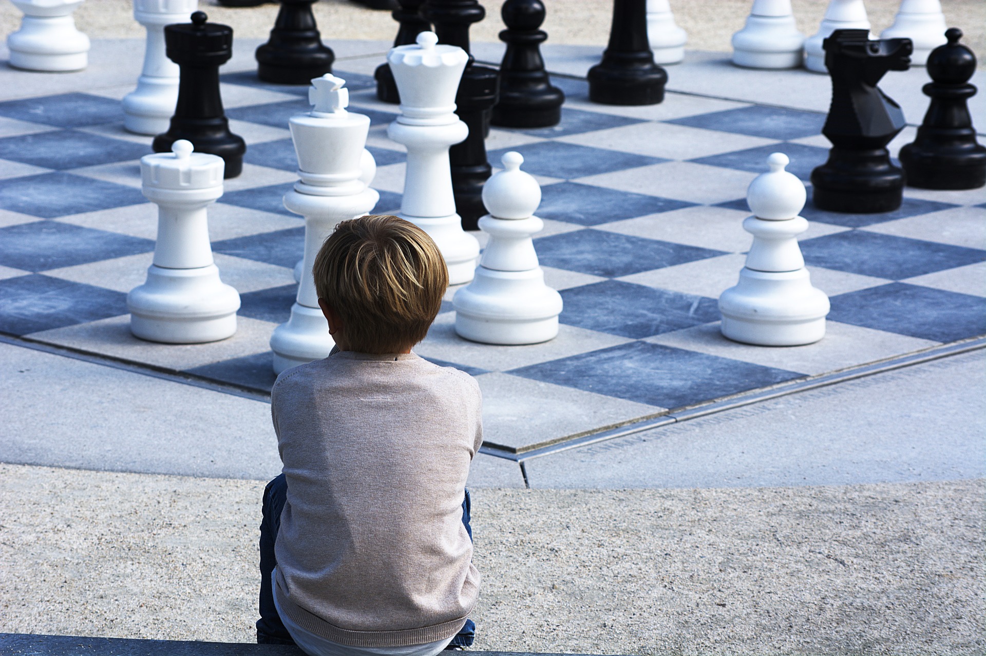 Chess Openings by Example: Alekhine Defense eBook by J. Schmidt